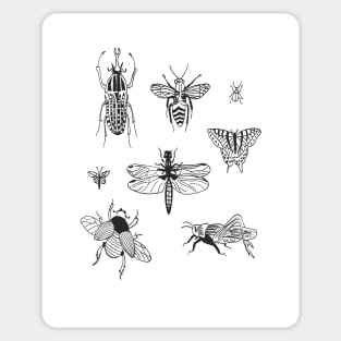 insects Sticker